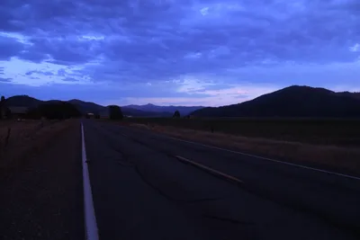 DSC_1841 (Large).JPG